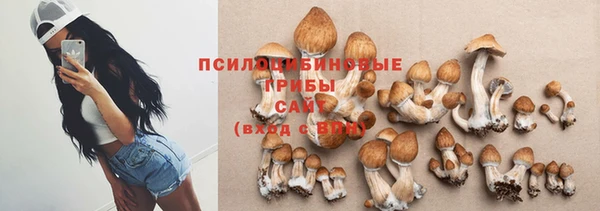 сатива Волоколамск