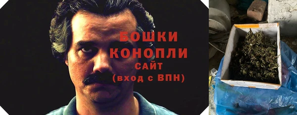 дурь Волосово