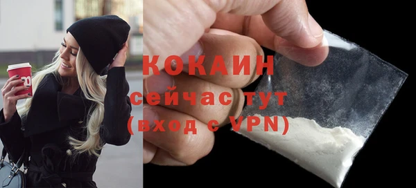 сатива Волоколамск
