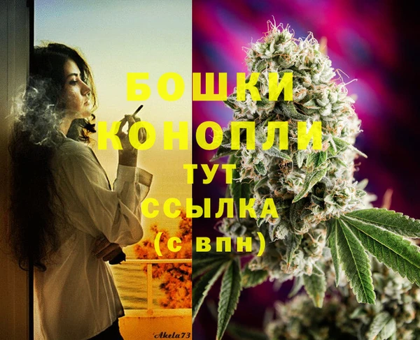 сатива Волоколамск