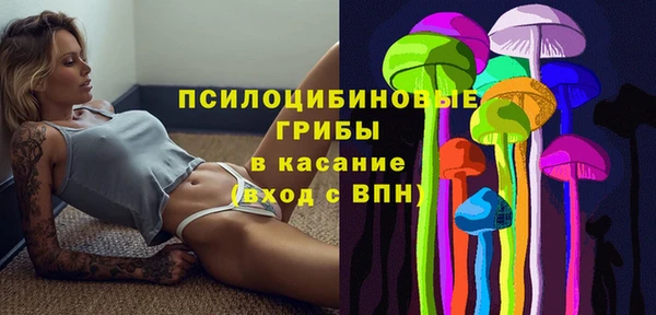 дурь Волосово