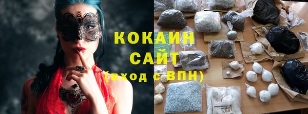 сатива Волоколамск