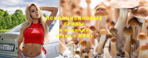 дурь Волосово