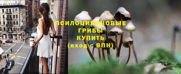 сатива Волоколамск